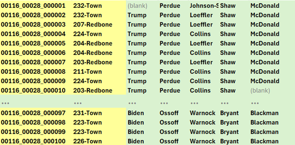 double counted ballots